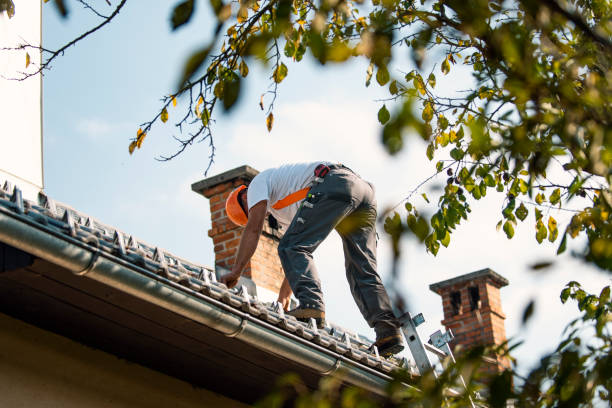 Best Roof Restoration Services  in International Falls, MN