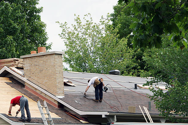 Best Best Roofing Contractors  in International Falls, MN