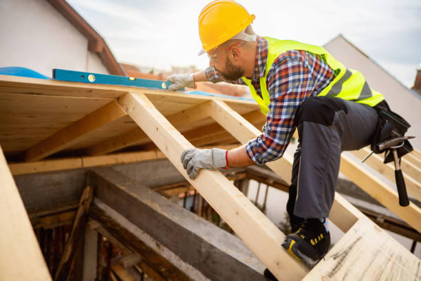 Best Commercial Roofing Services  in International Falls, MN