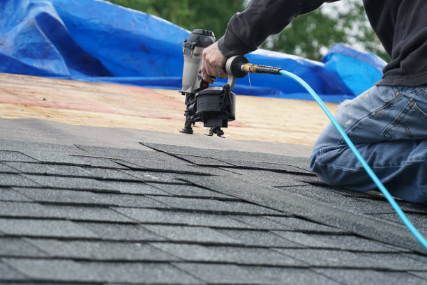 Roof Gutter Cleaning in International Falls, MN
