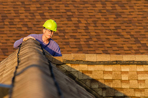 Best Flat Roof Repair Services  in International Falls, MN