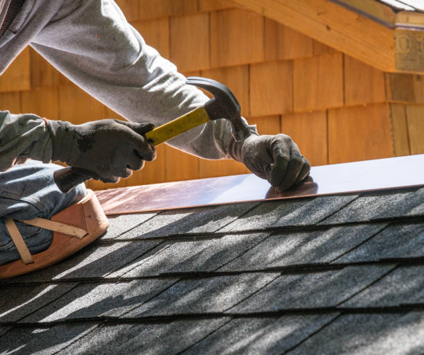 Best Tile Roofing Contractor  in International Falls, MN